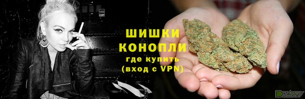 спайс Аркадак