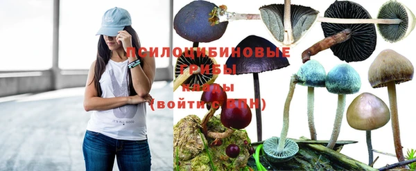 тгк Арсеньев