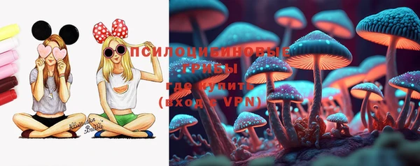 спайс Аркадак