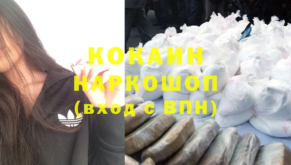 тгк Арсеньев
