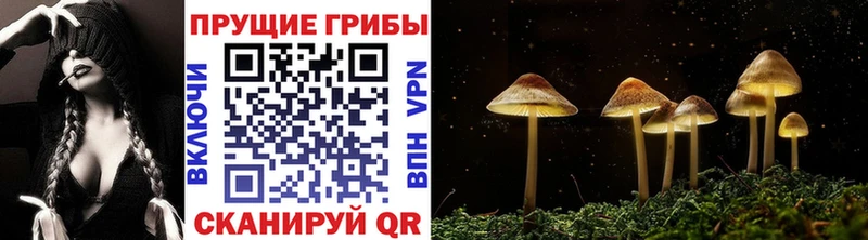 Галлюциногенные грибы GOLDEN TEACHER  Орлов 